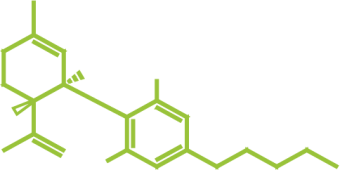 Reefer's Cannabis Club Siegen